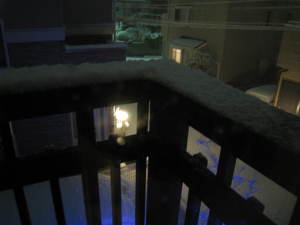 千葉の初雪