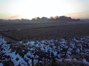 残雪と朝日