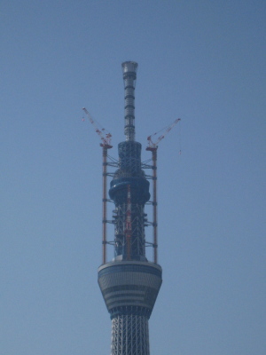 スカイツリー５８４m